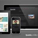 Aniversary Bundle – Over $500 of premium themes for just $29