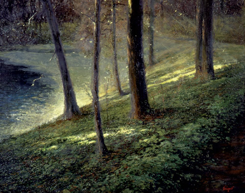 Vladimir-Volegov-forest