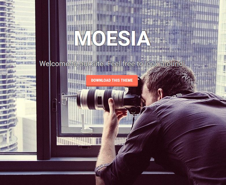 amoesia free wordpress theme